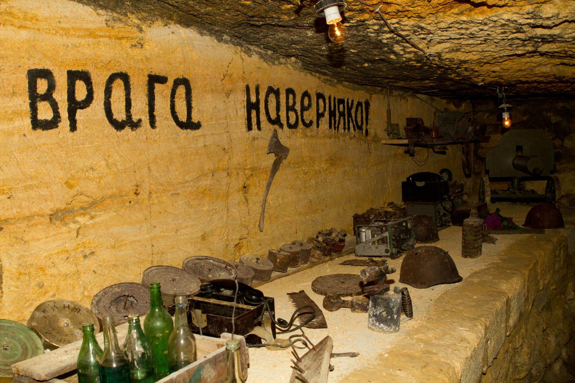 
עולם מסתורי מתחת לפני האדמה
